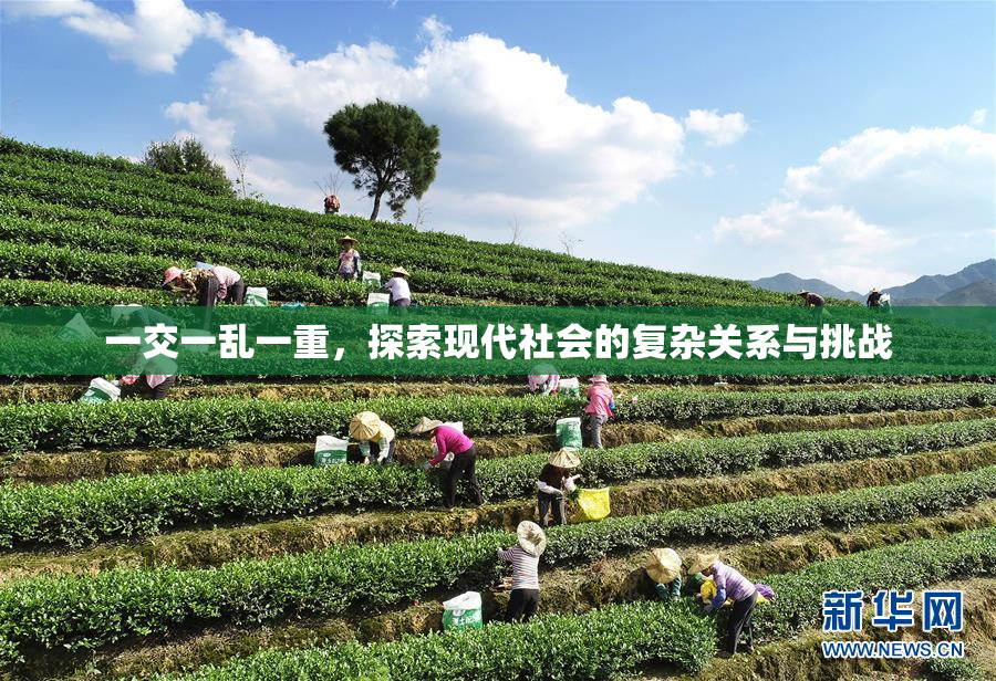 一交一乱一重，探索现代社会的复杂关系与挑战