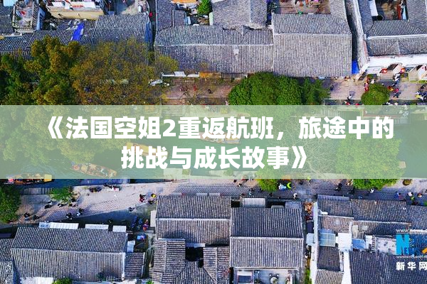 《法国空姐2重返航班，旅途中的挑战与成长故事》