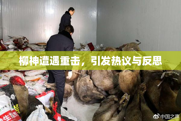柳神遭遇重击，引发热议与反思