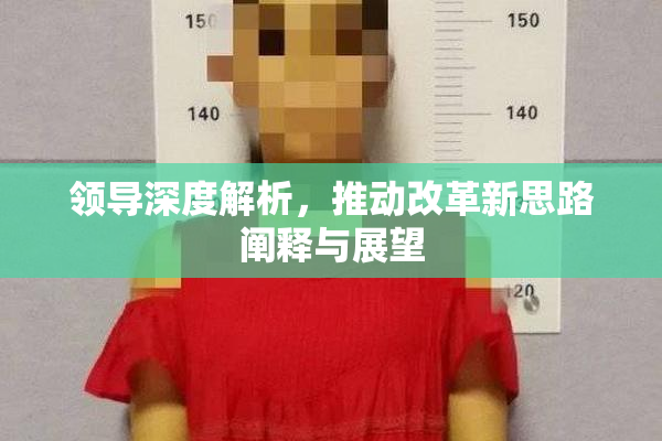 领导深度解析，推动改革新思路阐释与展望