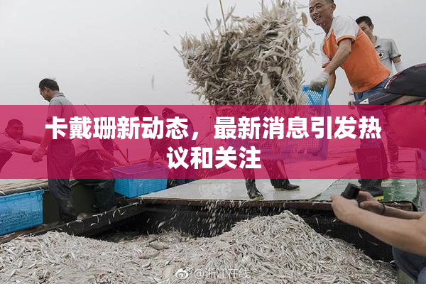 卡戴珊新动态，最新消息引发热议和关注