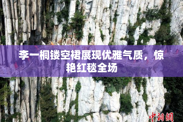 李一桐镂空裙展现优雅气质，惊艳红毯全场