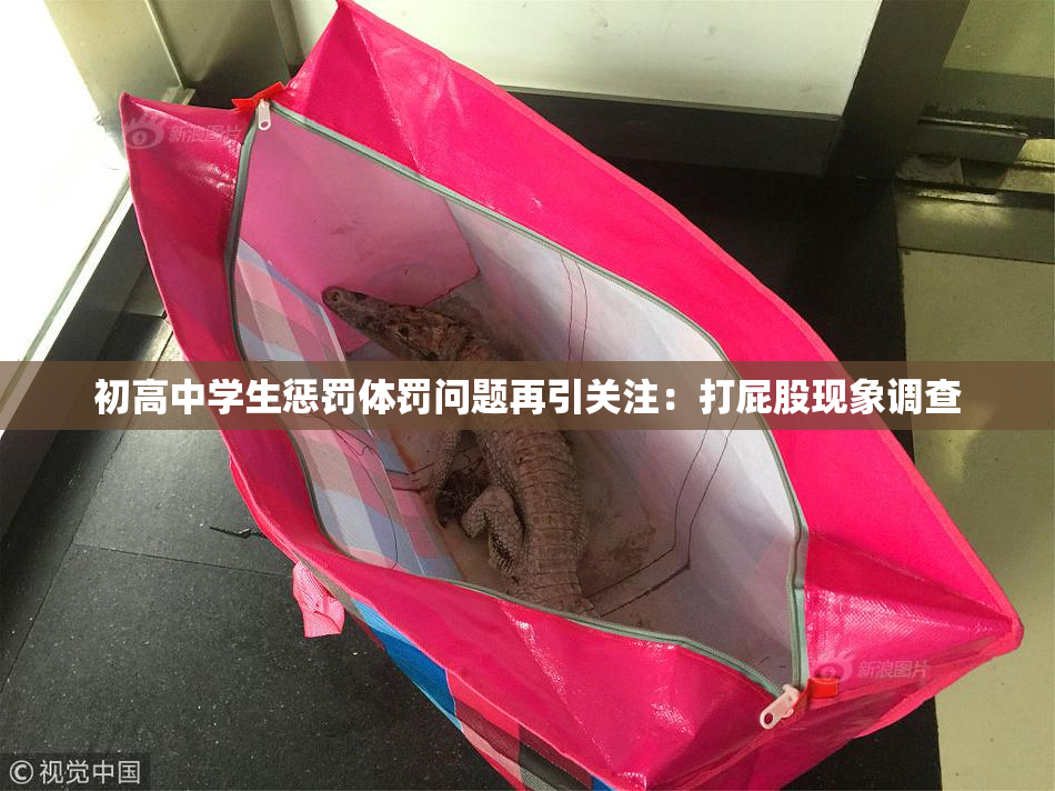 初高中学生惩罚体罚问题再引关注：打屁股现象调查