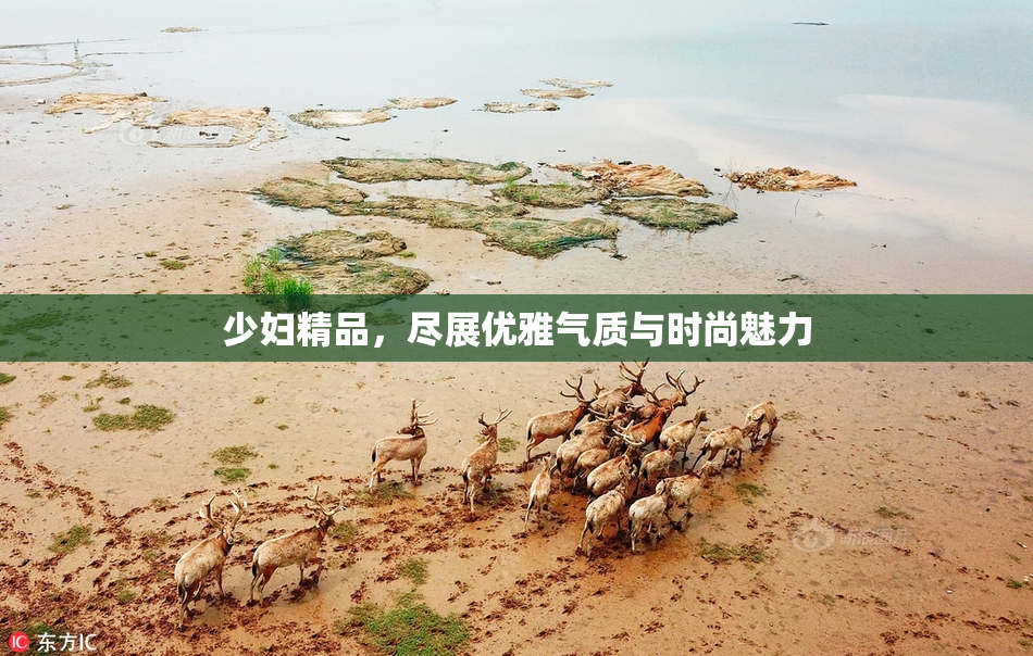 少妇精品，尽展优雅气质与时尚魅力