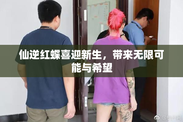 仙逆红蝶喜迎新生，带来无限可能与希望
