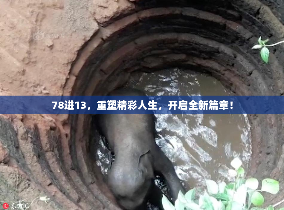 78进13，重塑精彩人生，开启全新篇章！