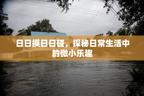 日日摸日日碰，探秘日常生活中的微小乐趣