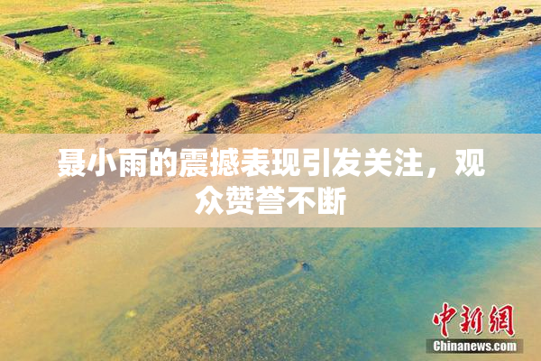 聂小雨的震撼表现引发关注，观众赞誉不断