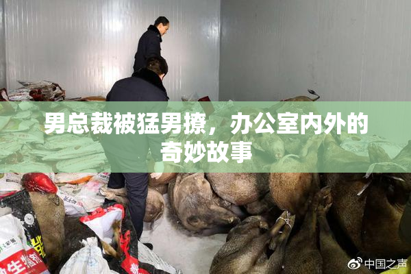 男总裁被猛男撩，办公室内外的奇妙故事