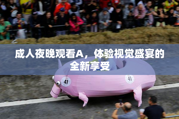 成人夜晚观看A，体验视觉盛宴的全新享受