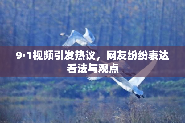 9·1视频引发热议，网友纷纷表达看法与观点