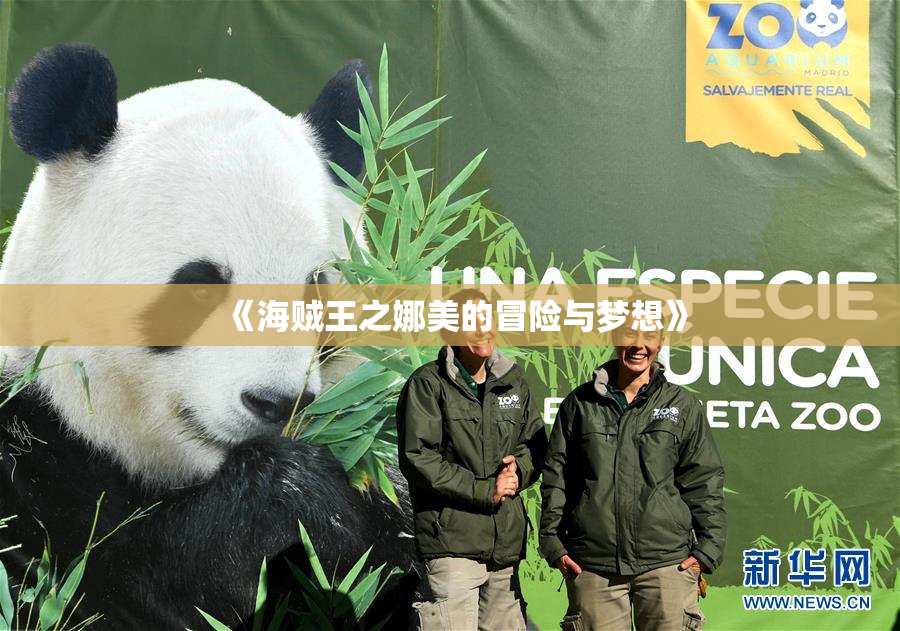 《海贼王之娜美的冒险与梦想》