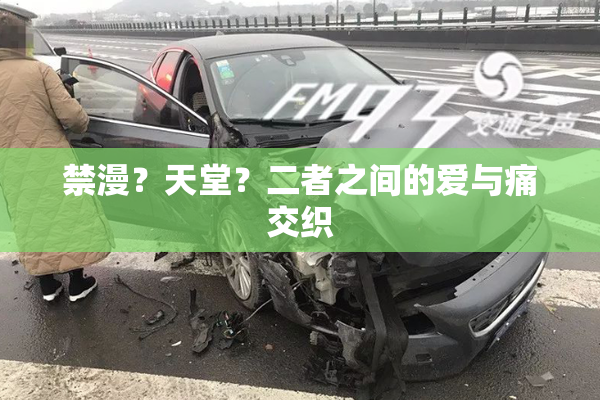 禁漫？天堂？二者之间的爱与痛交织