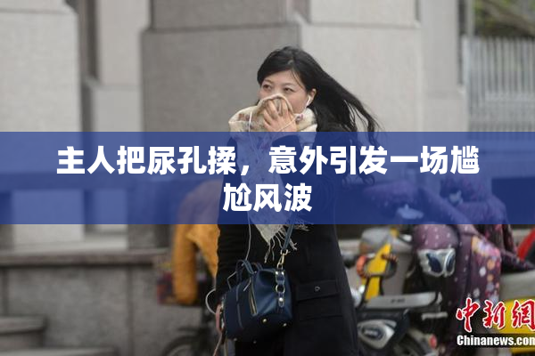 主人把尿孔揉，意外引发一场尴尬风波
