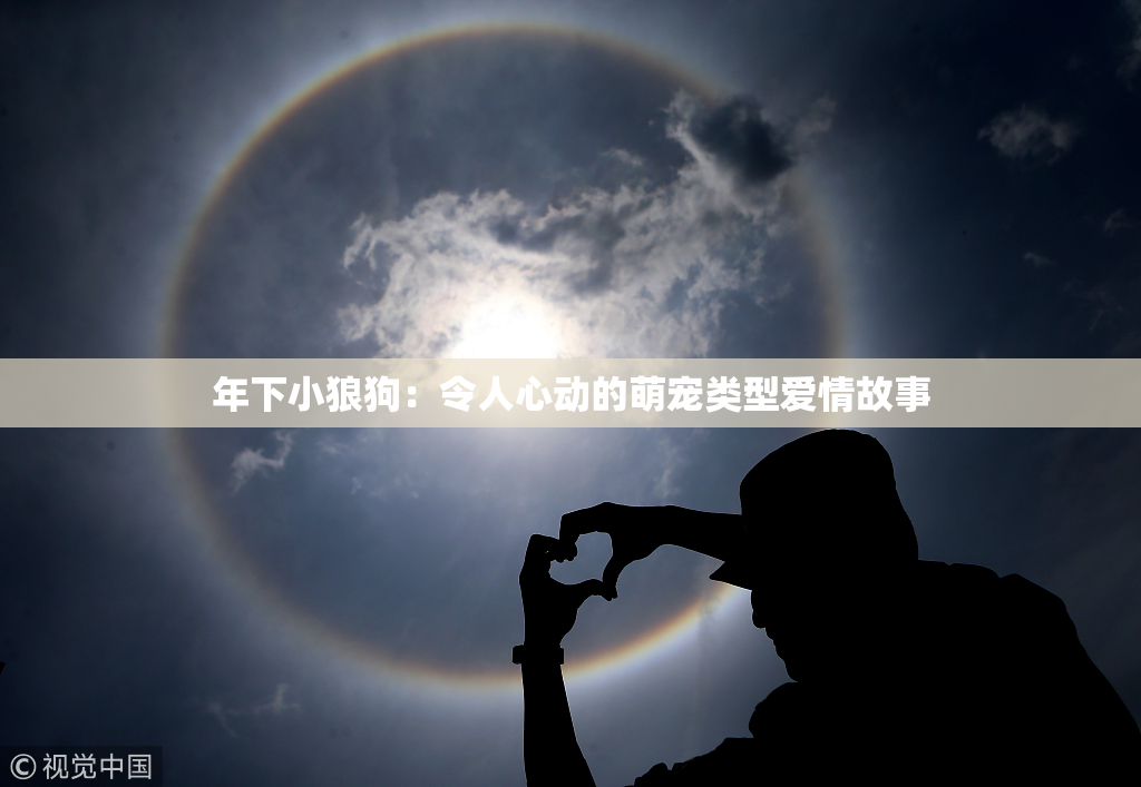 年下小狼狗：令人心动的萌宠类型爱情故事