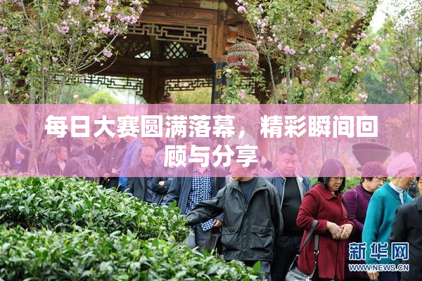 每日大赛圆满落幕，精彩瞬间回顾与分享