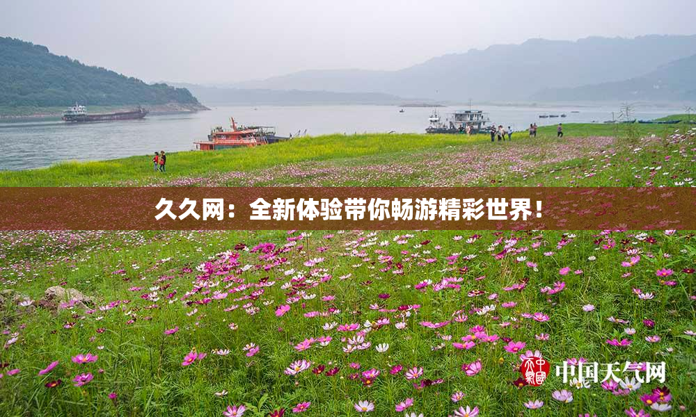 久久网：全新体验带你畅游精彩世界！