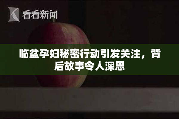临盆孕妇秘密行动引发关注，背后故事令人深思