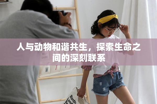 人与动物和谐共生，探索生命之间的深刻联系