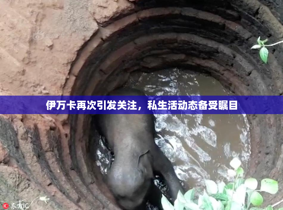 伊万卡再次引发关注，私生活动态备受瞩目