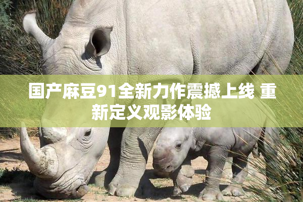 国产麻豆91全新力作震撼上线 重新定义观影体验