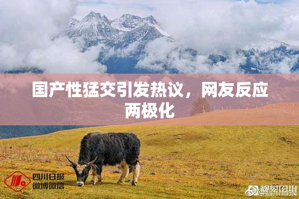 国产性猛交引发热议，网友反应两极化