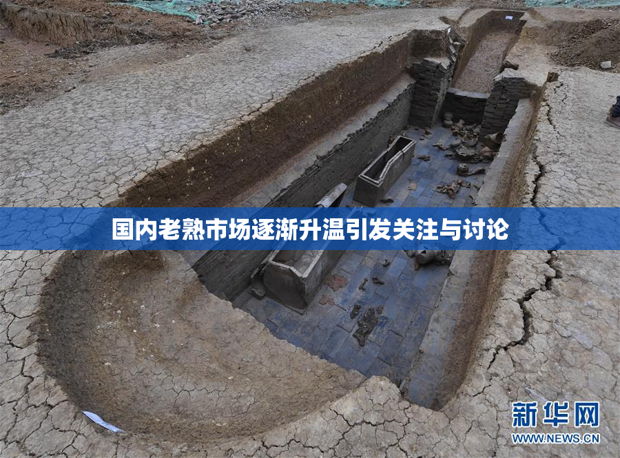 国内老熟市场逐渐升温引发关注与讨论