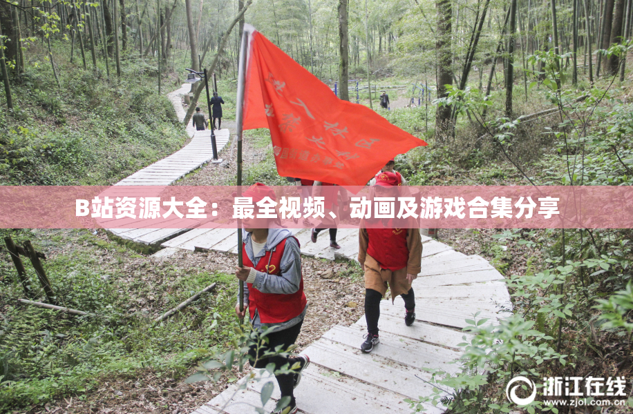 B站资源大全：最全视频、动画及游戏合集分享