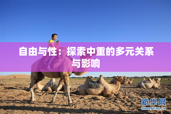 自由与性：探索中重的多元关系与影响