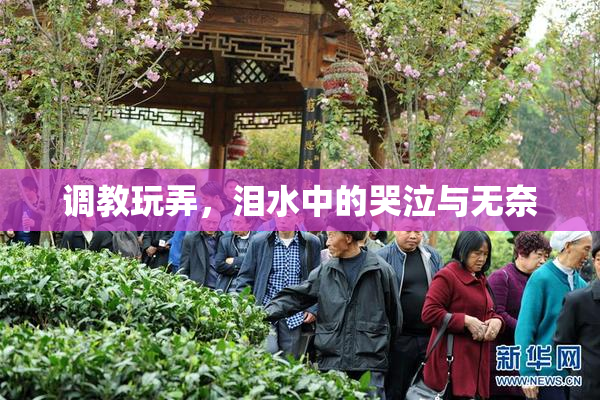 调教玩弄，泪水中的哭泣与无奈