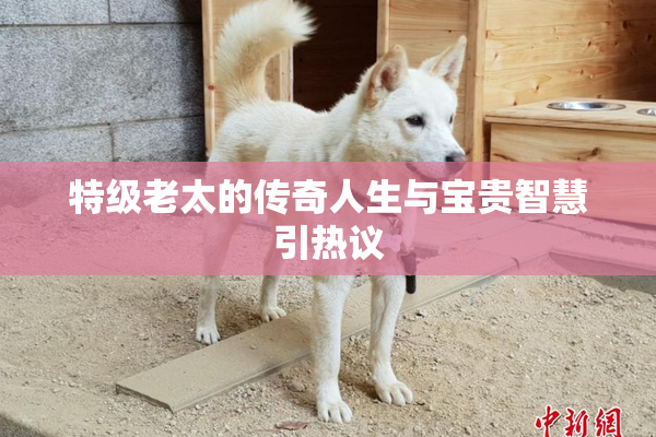 特级老太的传奇人生与宝贵智慧引热议