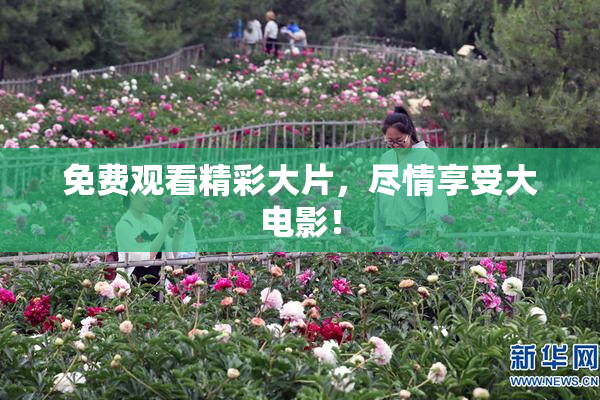 免费观看精彩大片，尽情享受大电影！