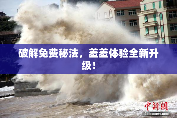 破解免费秘法，羞羞体验全新升级！