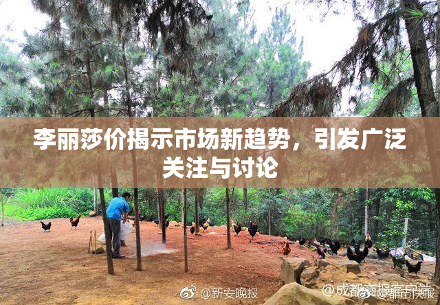 李丽莎价揭示市场新趋势，引发广泛关注与讨论