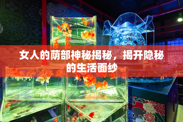 女人的荫部神秘揭秘，揭开隐秘的生活面纱