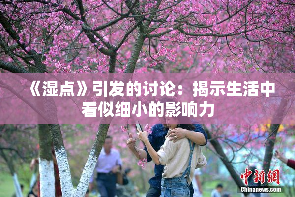 《湿点》引发的讨论：揭示生活中看似细小的影响力