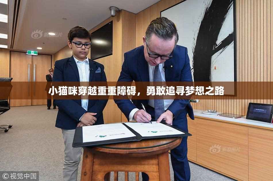 小猫咪穿越重重障碍，勇敢追寻梦想之路