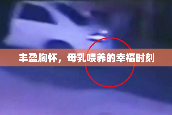丰盈胸怀，母乳喂养的幸福时刻