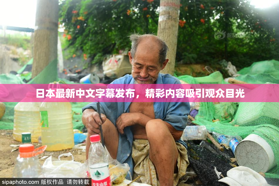 日本最新中文字幕发布，精彩内容吸引观众目光
