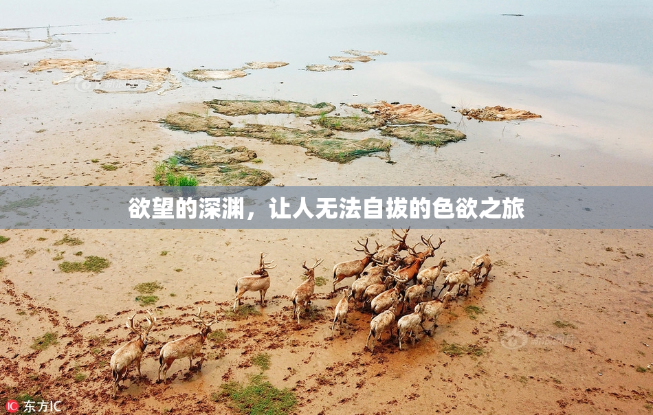 欲望的深渊，让人无法自拔的色欲之旅