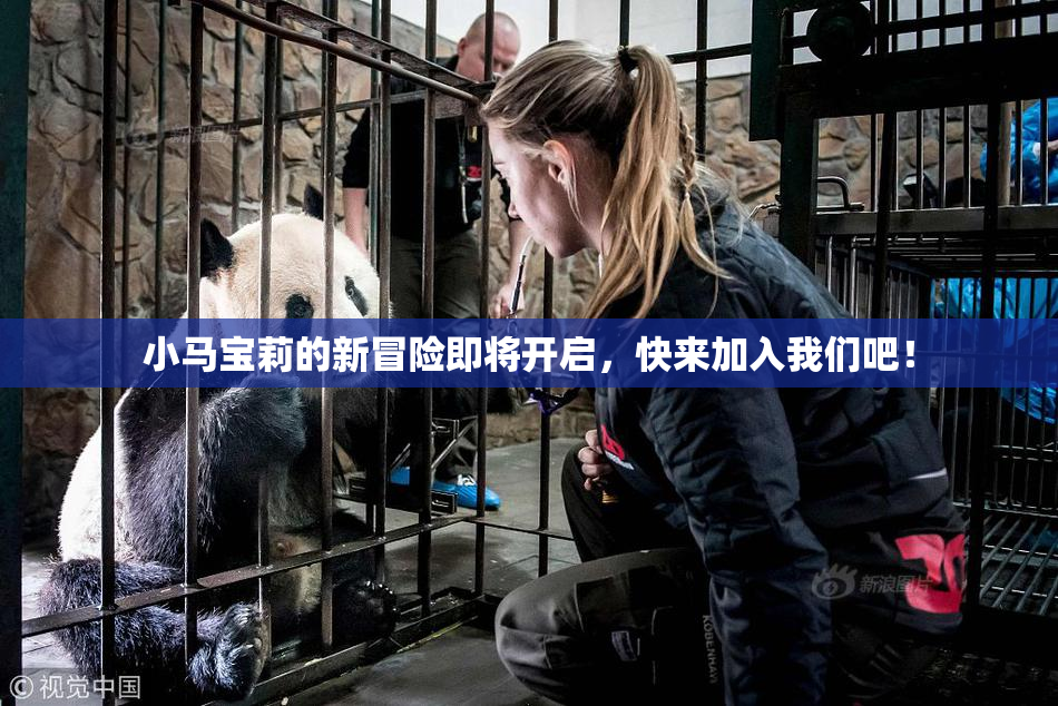 小马宝莉的新冒险即将开启，快来加入我们吧！