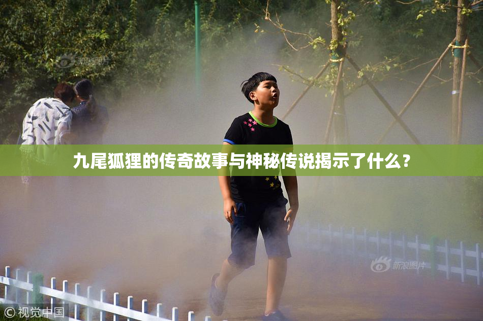 九尾狐狸的传奇故事与神秘传说揭示了什么？