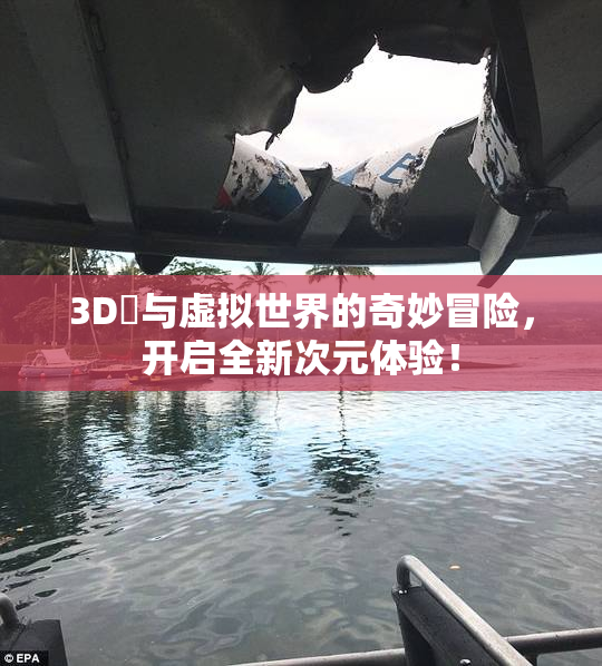 3D姉与虚拟世界的奇妙冒险，开启全新次元体验！