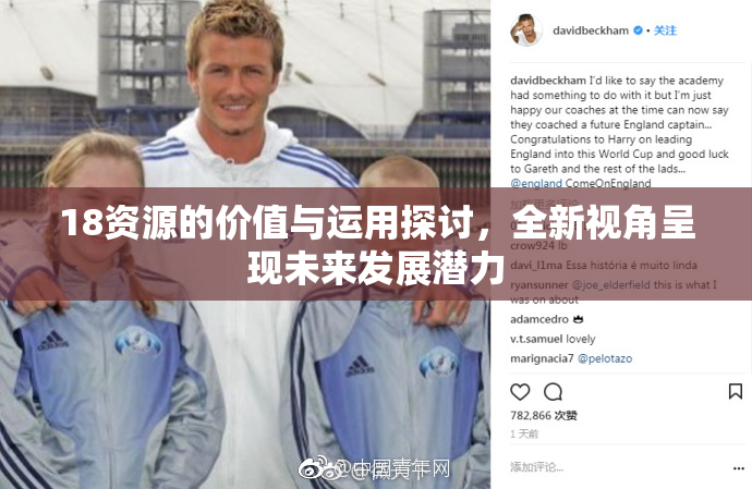 18资源的价值与运用探讨，全新视角呈现未来发展潜力