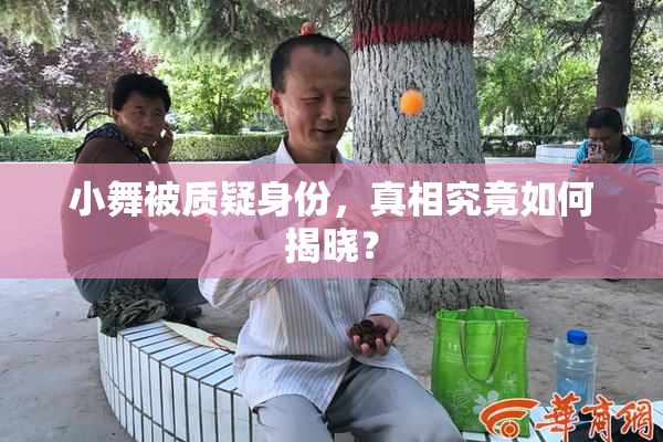 小舞被质疑身份，真相究竟如何揭晓？