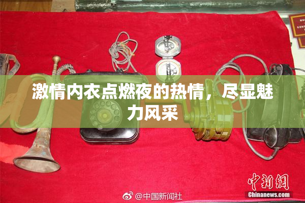 激情内衣点燃夜的热情，尽显魅力风采