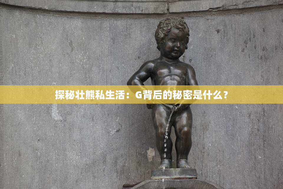 探秘壮熊私生活：G背后的秘密是什么？