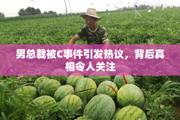 男总裁被C事件引发热议，背后真相令人关注