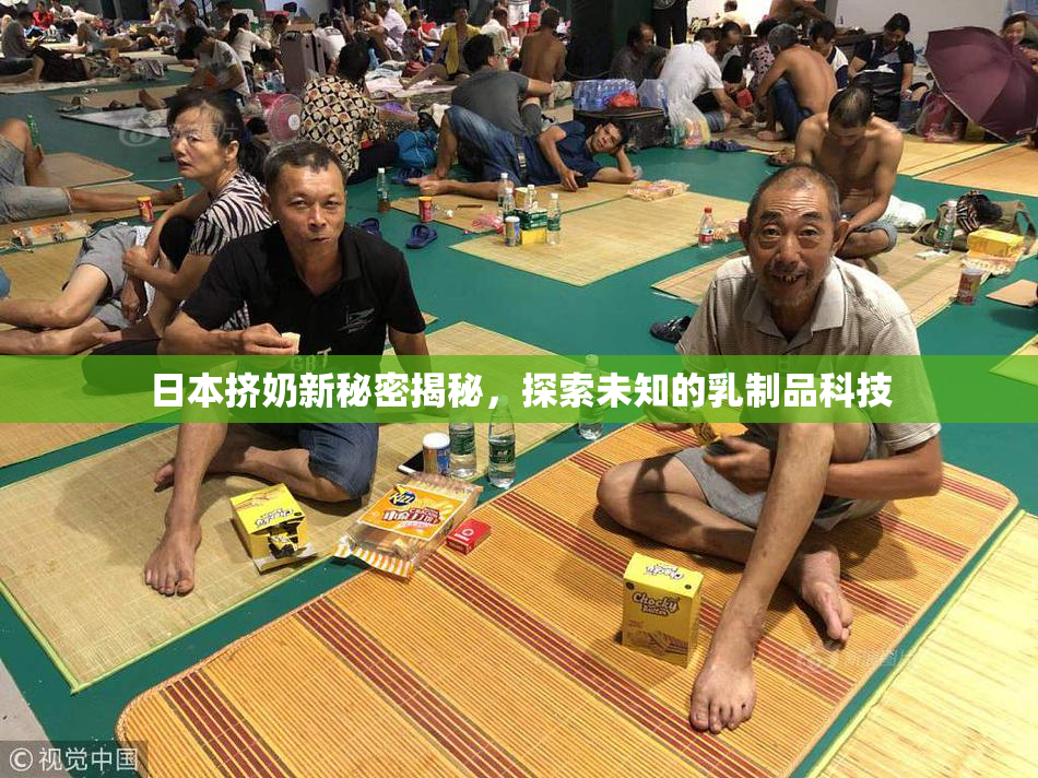 日本挤奶新秘密揭秘，探索未知的乳制品科技