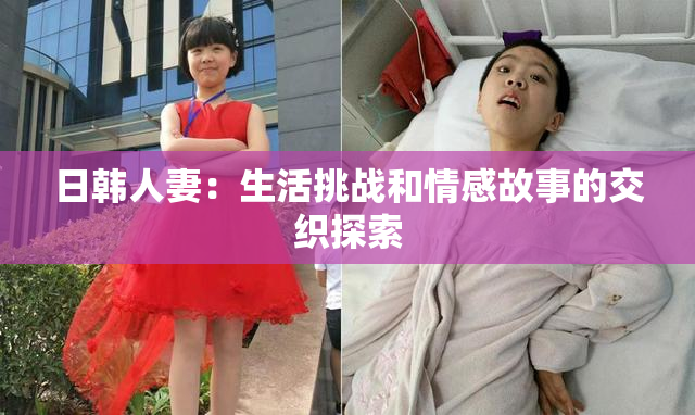 日韩人妻：生活挑战和情感故事的交织探索